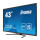 iiyama Prolite X4373UHSU - 700741 - zdjęcie 4